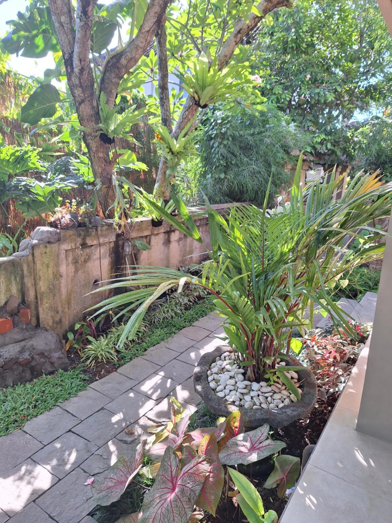 Kasapa Inn Ubud Esterno foto