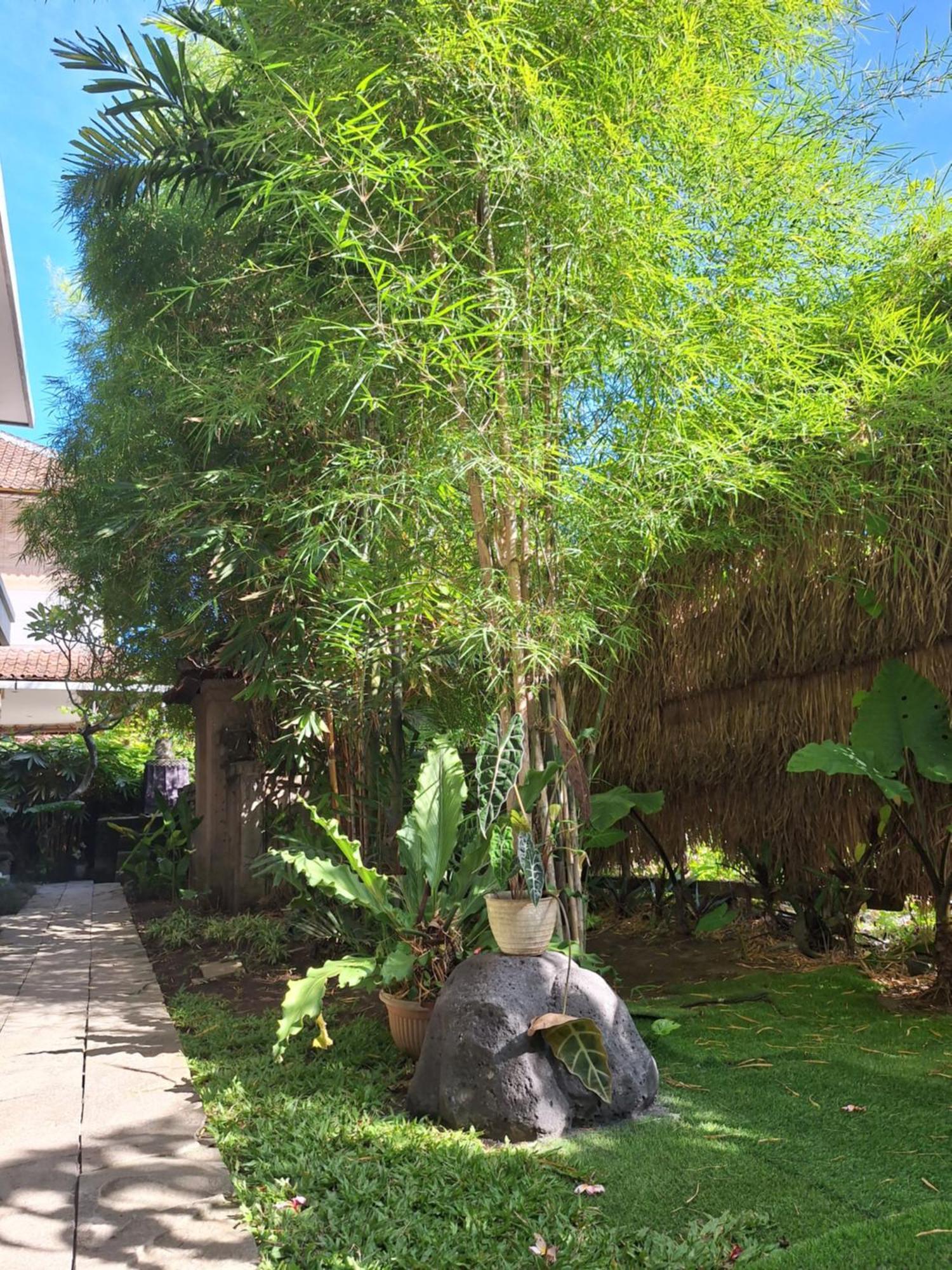 Kasapa Inn Ubud Esterno foto