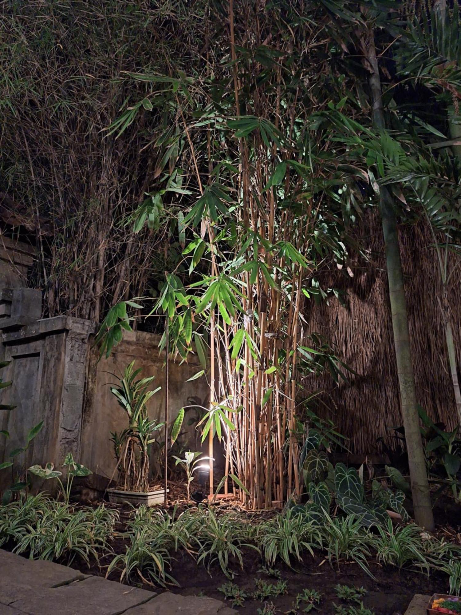 Kasapa Inn Ubud Esterno foto